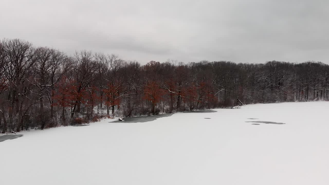 공중 드론 팬 샷 얼어붙은 호수와 숲 4k의 나무로 덮인 눈
