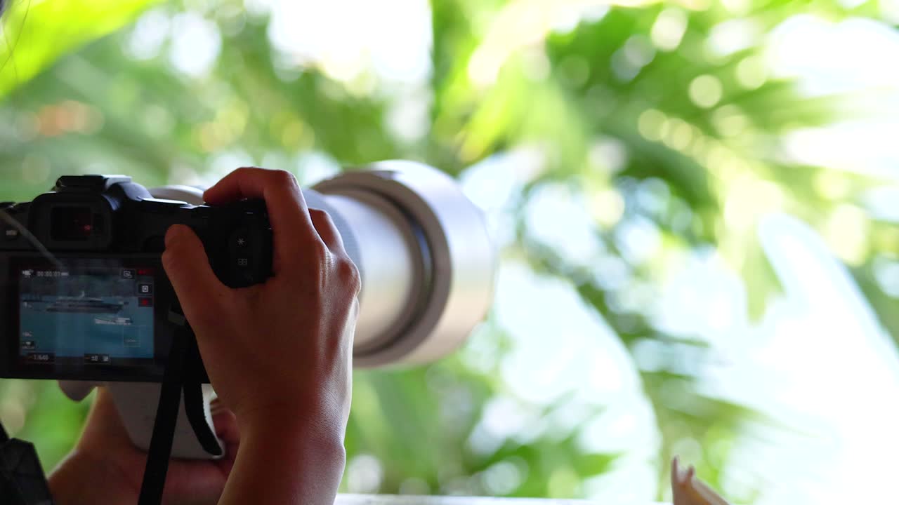 A photographer adjusts their camera amidst lush greenery in Phuket, Thailand. Bright natural lighting highlights the vibrant foliage