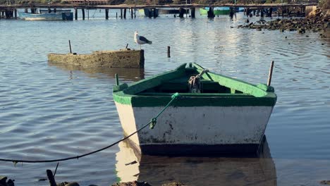 Friedliche-Küstenszene-Mit-Einer-Einsamen-Möwe,-Die-Auf-Einem-Alten-Fischerboot-Steht