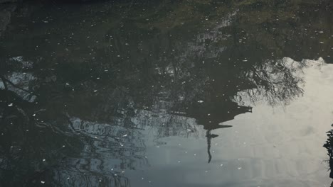 Reflections-Over-Calm-Pond-During-Sunset.-Static-Shot