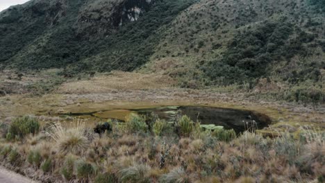 Senderismo-En-El-Sendero-A-Través-De-Campos-De-Hierba-Y-Aguas-Termales-En-La-Reserva-Ecológica-De-Cayambe-Coca-En-Napo,-Ecuador