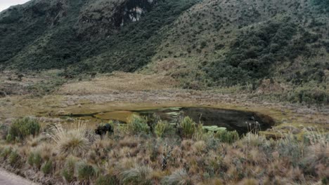 hiking on the trail through grassy fields and hot springs at the cayambe coca ecological reserve in napo, ecuador