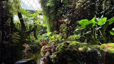 flujo tranquilizador de agua que se asemeja a la lluvia en un entorno interior que imita un bosque exuberante, creando un oasis tranquilo