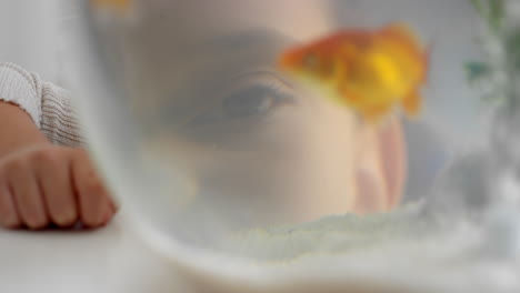 girl looking at goldfish in bowl watching fish swimming in aquarium child smiling happy enjoying aquatic pet 4k