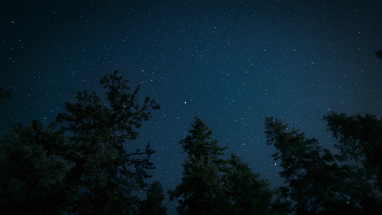 Capturing star field twinkling and breeze swaying pine tree silhouettes at night, showing calm