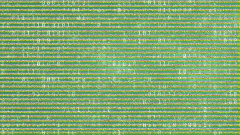 animación de la interferencia sobre el procesamiento de datos en fondo verde.