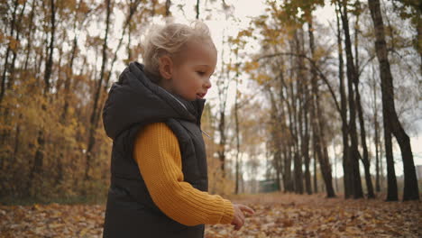 charming toddler is walking in autumn forest running over dry foliage and having fun picturesque nature in woodland at fall