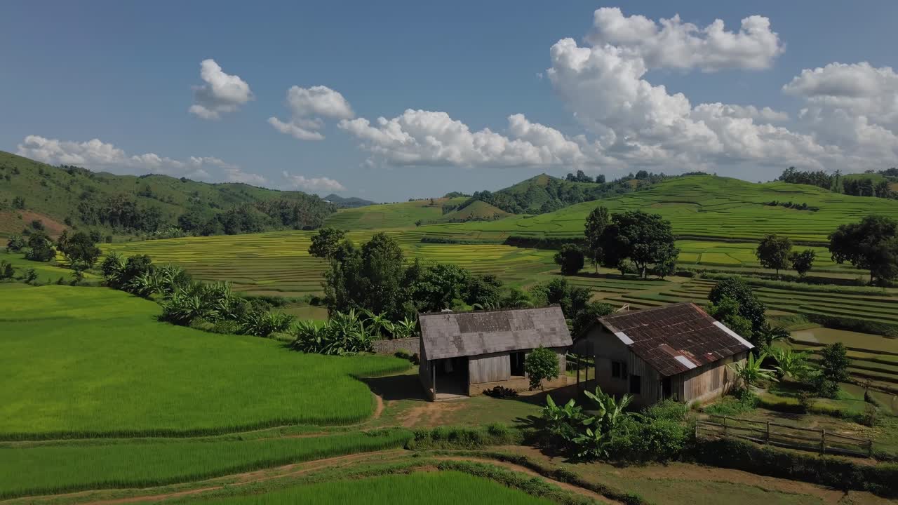 Sawah hijau yang subur bertransisi melalui lanskap yang hidup, menampilkan rumah kayu rustik dan perbukitan di bawah langit biru cerah dengan awan lembut