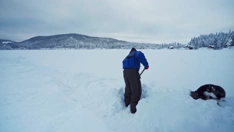 Kerl-Gräbt-Dicken-Schnee-Mit-Schaufel-Mit-Seinem-Verspielten-Alaskan-Malamute-Hund-In-Norwegen
