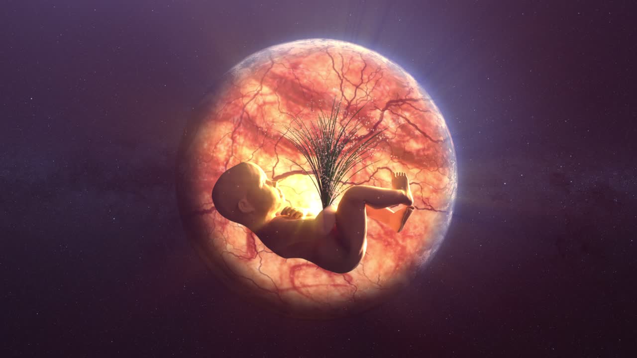 la vida humana y el futuro de la tierra