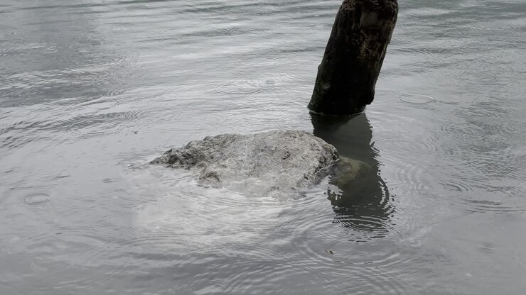 Closeup of rock submerged in clear waters of tranquil Walensee lake