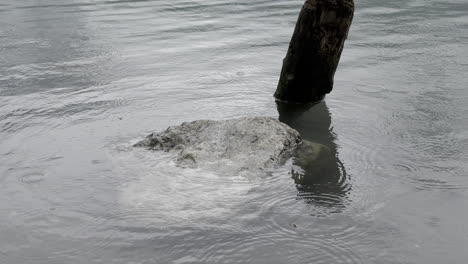 Nahaufnahme-Eines-Felsens-Im-Klaren-Wasser-Des-Ruhigen-Walensees