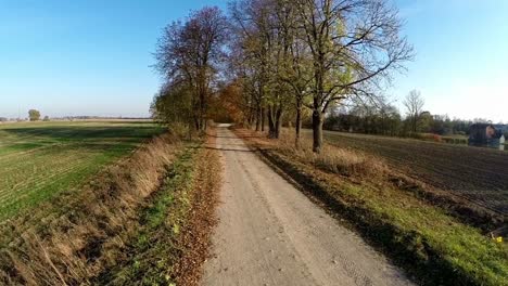 gravel road between trees without leaves. aerial footage-2