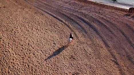 Aerial-overhead-shot-of-equestrian-riding-horse-at-beach-arriving-at-water-during-sunny-day