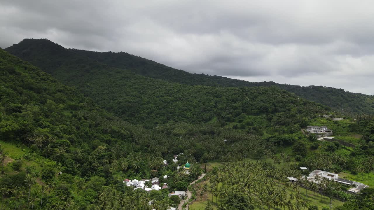 Vista aerea di un villaggio in una rigogliosa valle tropicale con palme