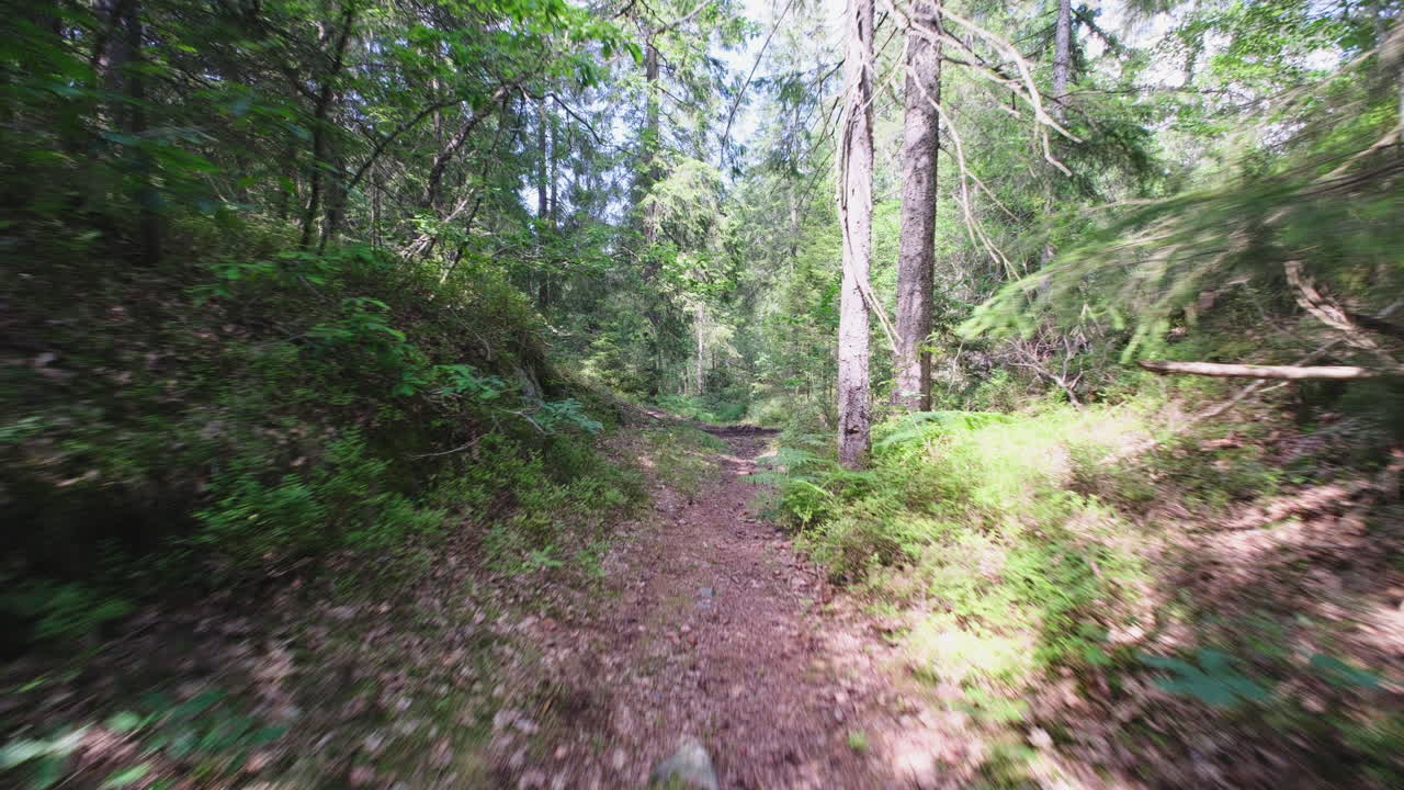 숲을 가로질러 가는 모토크로스  ⁇  트랙