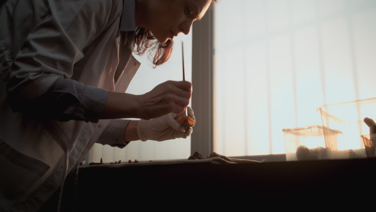 고대 유물을 복원하는 고고학자