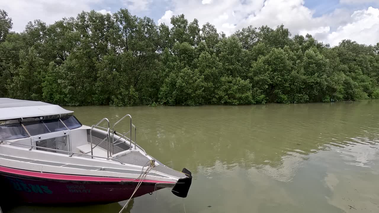 A speedboat leaves a small pier surrounded by mangrove forest, moving along a calm river under bright daylight with steady camera panning