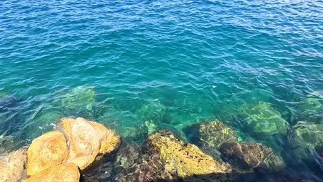 waves gently lap against rocky shore