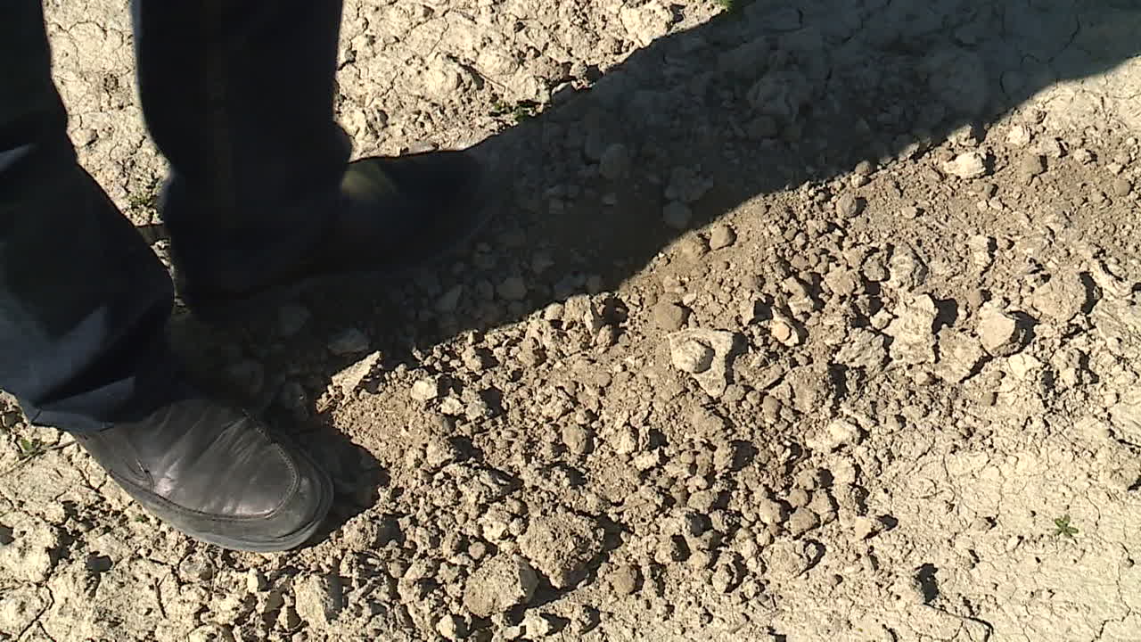 Person standing on dry, cracked earth