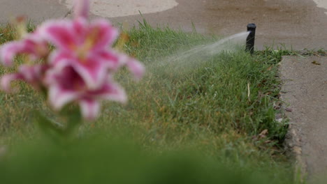 sprinkler rotor gear drive watering on corner of front lawn