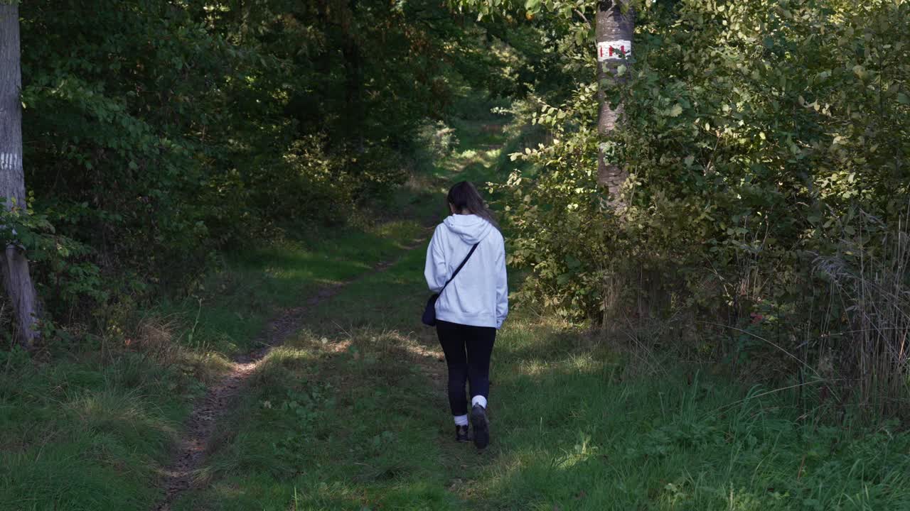 숲길, 산책로, 나무로 둘러싸인 자연에서 혼자 는 여자