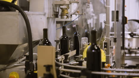 wine bottles moving along conveyor belt in factory