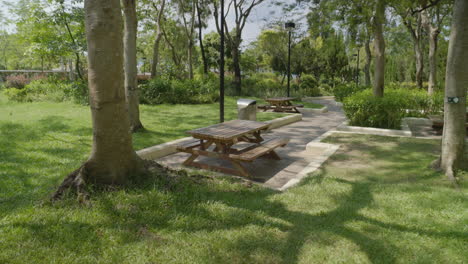 tomada panorámica de mesas de picnic en un parque hermoso y limpio en hong kong