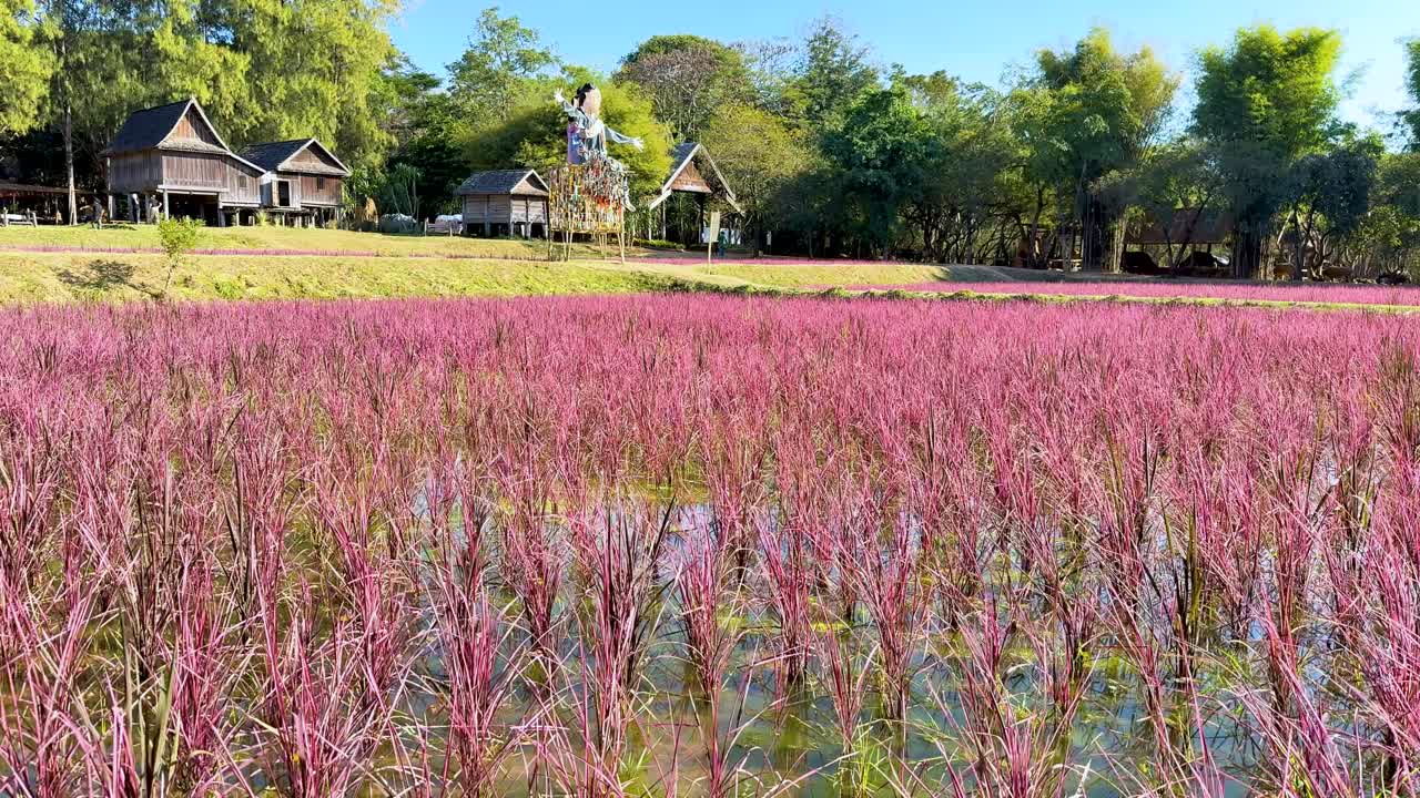 근처 에 전통적 인 집 들 이 있는 다채로운