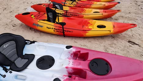 colorful kayaks and people gathered on beach