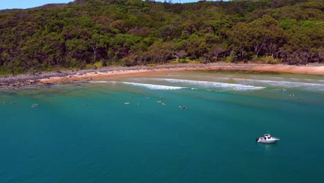 Surfers-On-The-Calm-Ocean-Of-Noosa-Heads-In-Queensland,-Australia