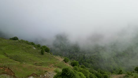 las cumbres envueltas en niebla de la provincia de paktia