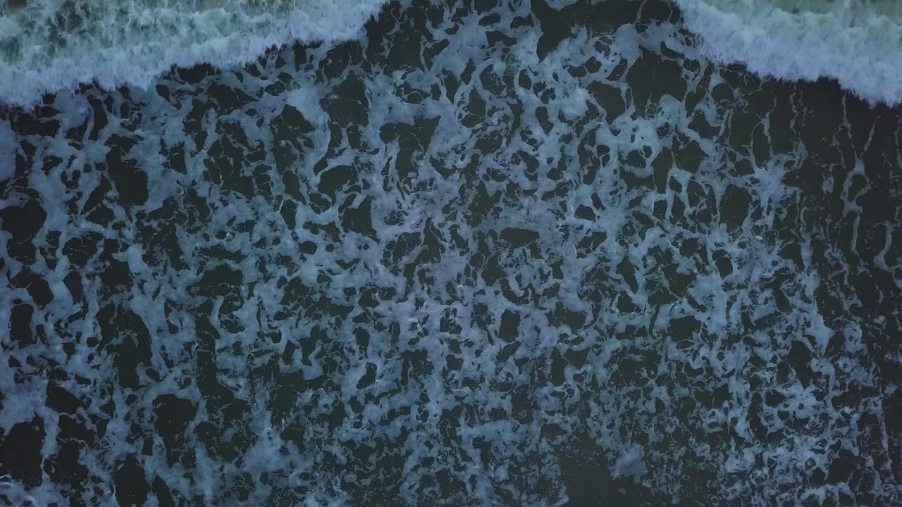 hermosa vista aérea de pájaro de la costa del mar báltico en una tarde soleada, puesta de sol, hora dorada, playa con arena blanca, erosión costera, cambios climáticos, tiro de muñeca de drones de gran angular moviéndose a la derecha