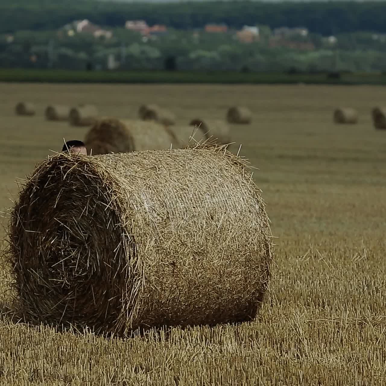 niño feliz en el campo