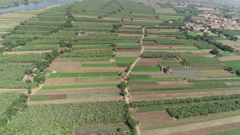 aerial shot for the river nile of egypt in cairo surrounded by the green lands of the nile valley