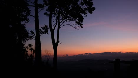 silhouette trees and beautiful view with sunrise dawn