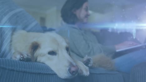 Estelas-De-Luz-Azul-Contra-Una-Mujer-Caucásica-Usando-Una-Computadora-Portátil-Mientras-Un-Perro-Duerme-En-El-Sofá