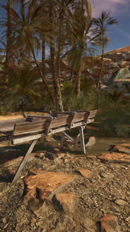 a wooden bench in the middle of a desert oasis