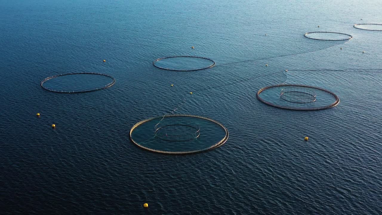 노르웨이에서 연어  ⁇ 시를 하는 공중 촬영