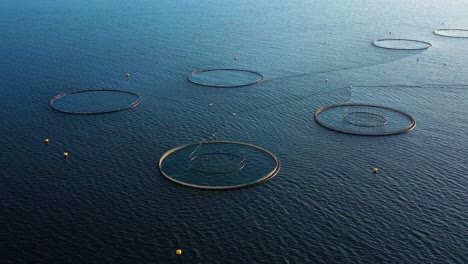 imágenes aéreas de granjas de pesca de salmón en noruega