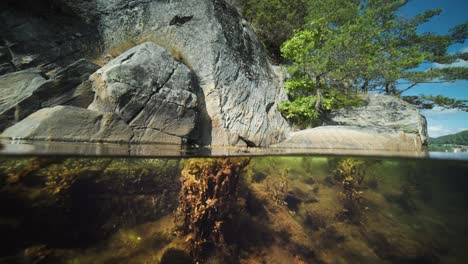 Split-view---over-and-under-water