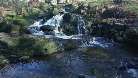 water-in-a-creek-in-Christieparken-in-Bergen,-Norway