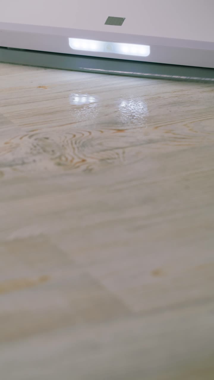Modern Floor Cleaner Spraying Water on Laminate Floor