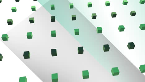 animation of green squares in green background