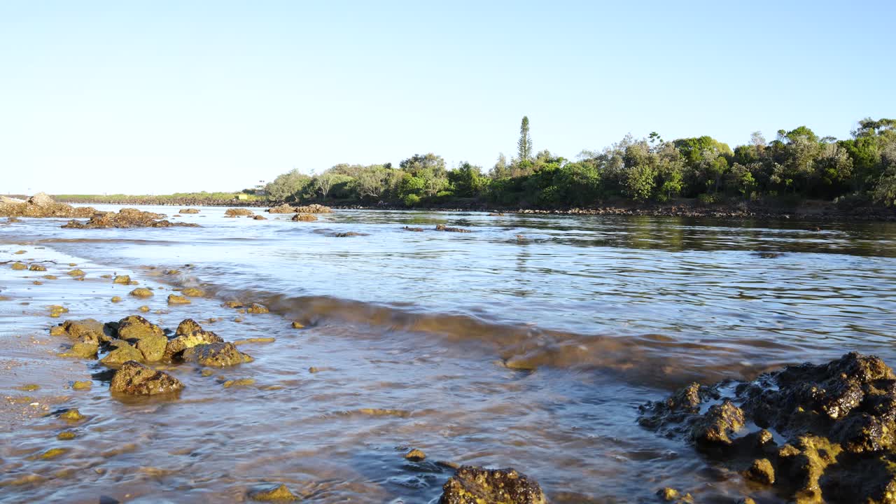 corrientes fluviales que fluyen sobre rocas y a través de árboles