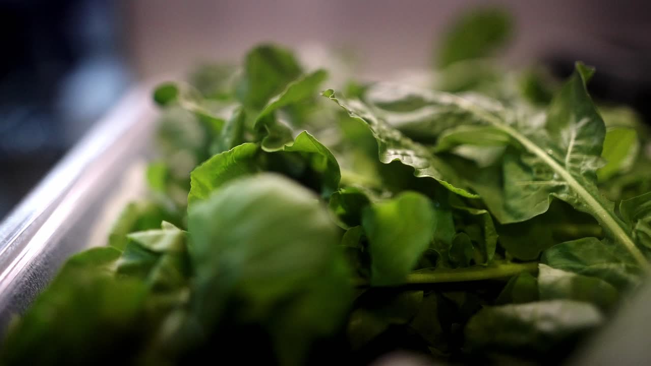 Slow motion close up view over a mix of green lettuce and arugula in a restaurant kitchen.