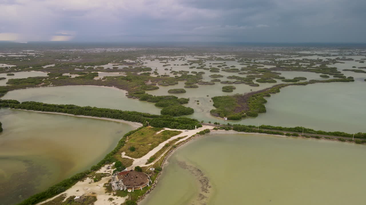 vista del manglar cerca de merida en mexico