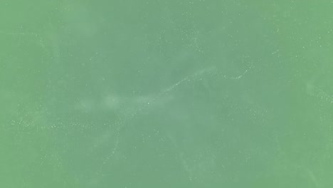 soft wavy particles background seamless loop stock video