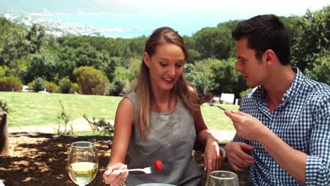 smiling romantic couple enjoying lunch