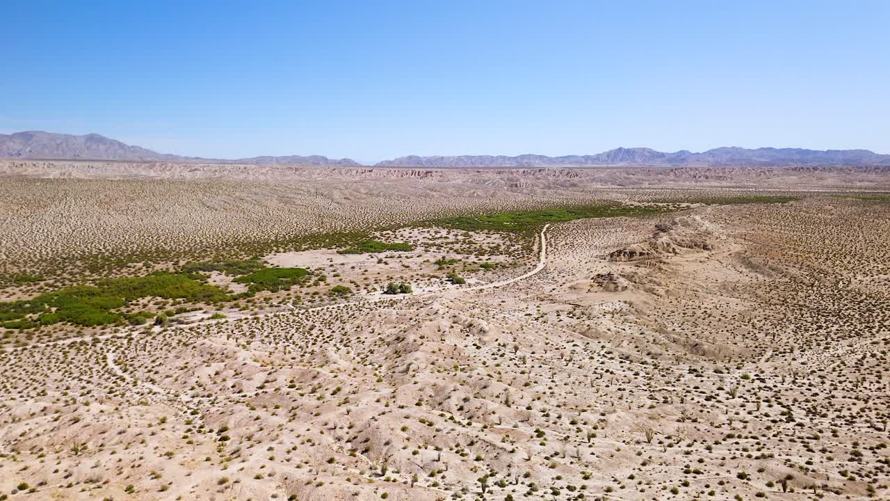 미국 캘리포니아에서 자라는 오코로 식물과 함께 사막 풍경